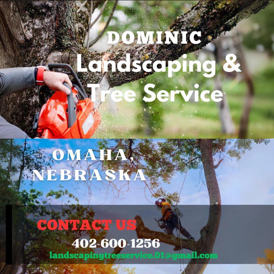 Dominic Landscaping Tree Service