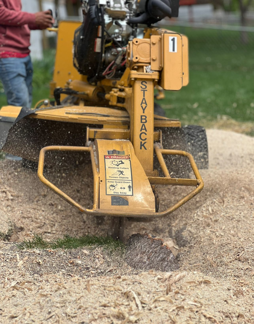 Stump Grinding Equipment
