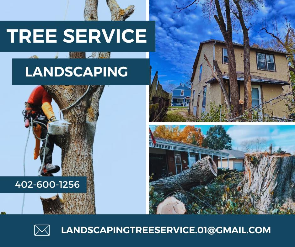 Tree Service Work